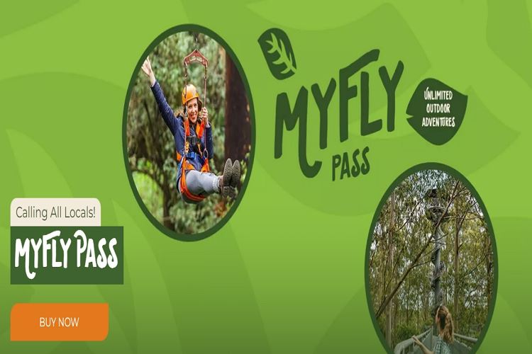 Picture for category MyFly Pass