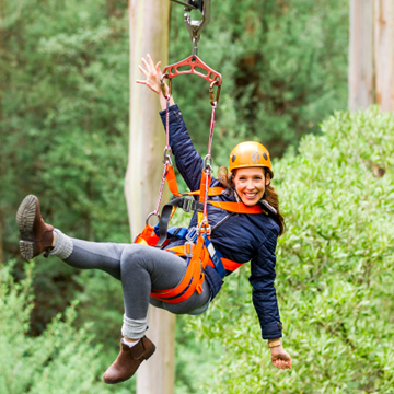 Picture of Zipline Tour