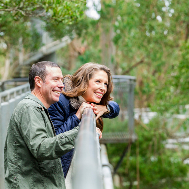 Picture of TreeTop Walk